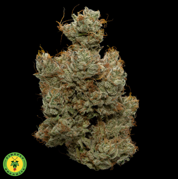 Photograph of product: Firefly Organics - Secret Cookies - 3.5g