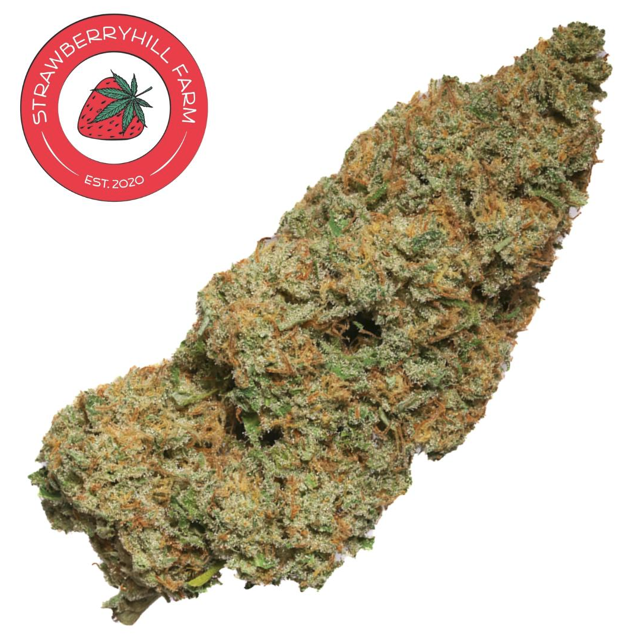 Photograph of product: Hemp Flower | Godfather OG | 3.5g