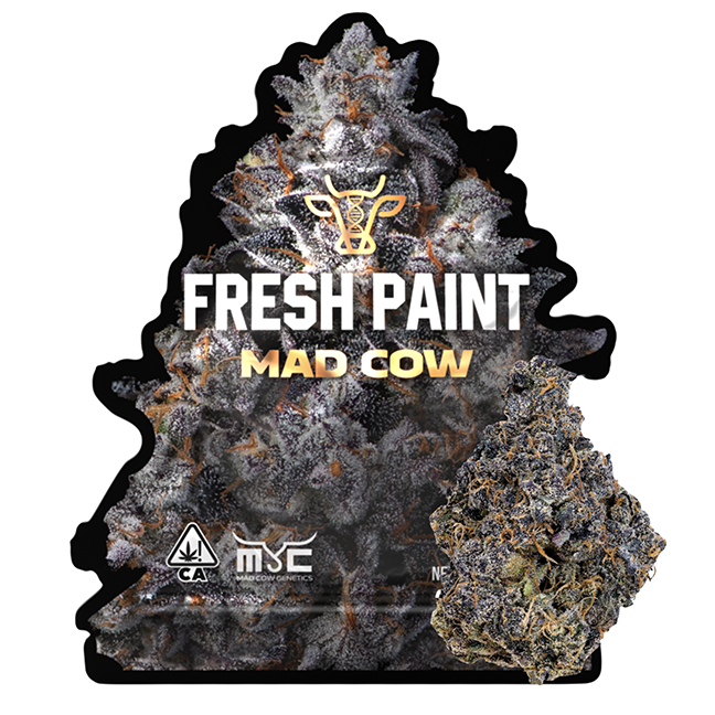 Photograph of product: Fresh Paint - 3.5g