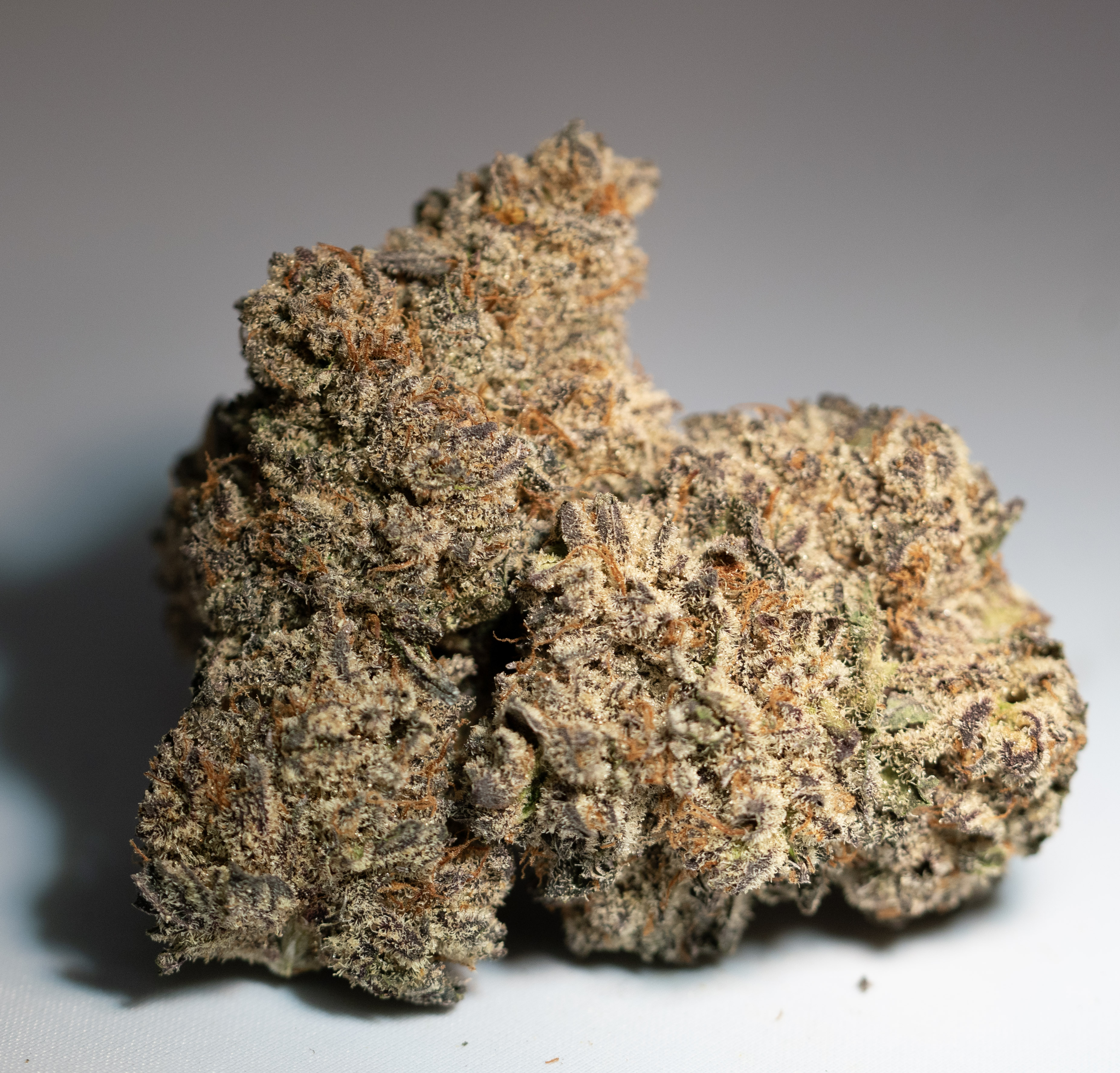 Photograph of product: TRUFFLE ICING (H) 3.5G