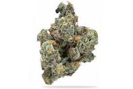 Photograph of product: 1937 Black Bubblegum #8 Flower - 3.5g