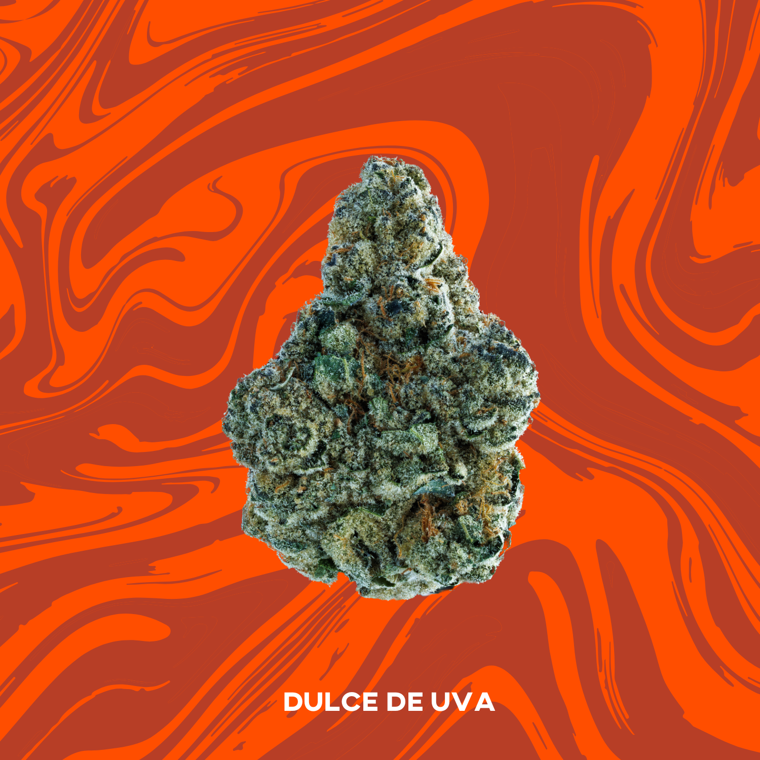 Photograph of product: Dulce De Uva - Vivid - 14g Pre-Packaged