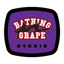 Photograph of product: 93 Boyz Bathing Grape (H) Pre-Roll 0.75g