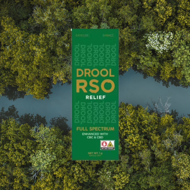 Photograph of product: SYRINGE | RSO RELIEF | 1G