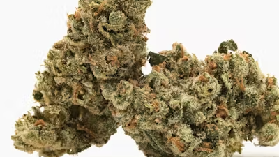 Photograph of Product: BL^CK MRKT Charm Biscuitz - 3.5g - Prepacked Flower