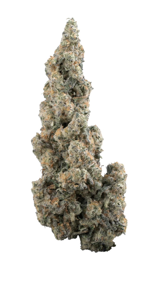 Photograph of product: Plant Nerd Zoreoz Buds - 28g