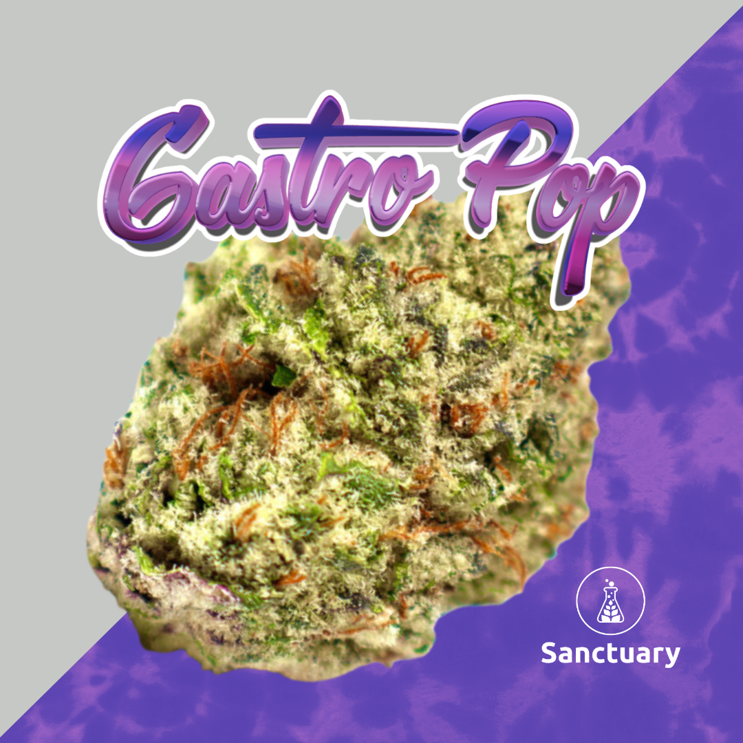 Photograph of product: Gastro Pop 3.5g Small Bud
