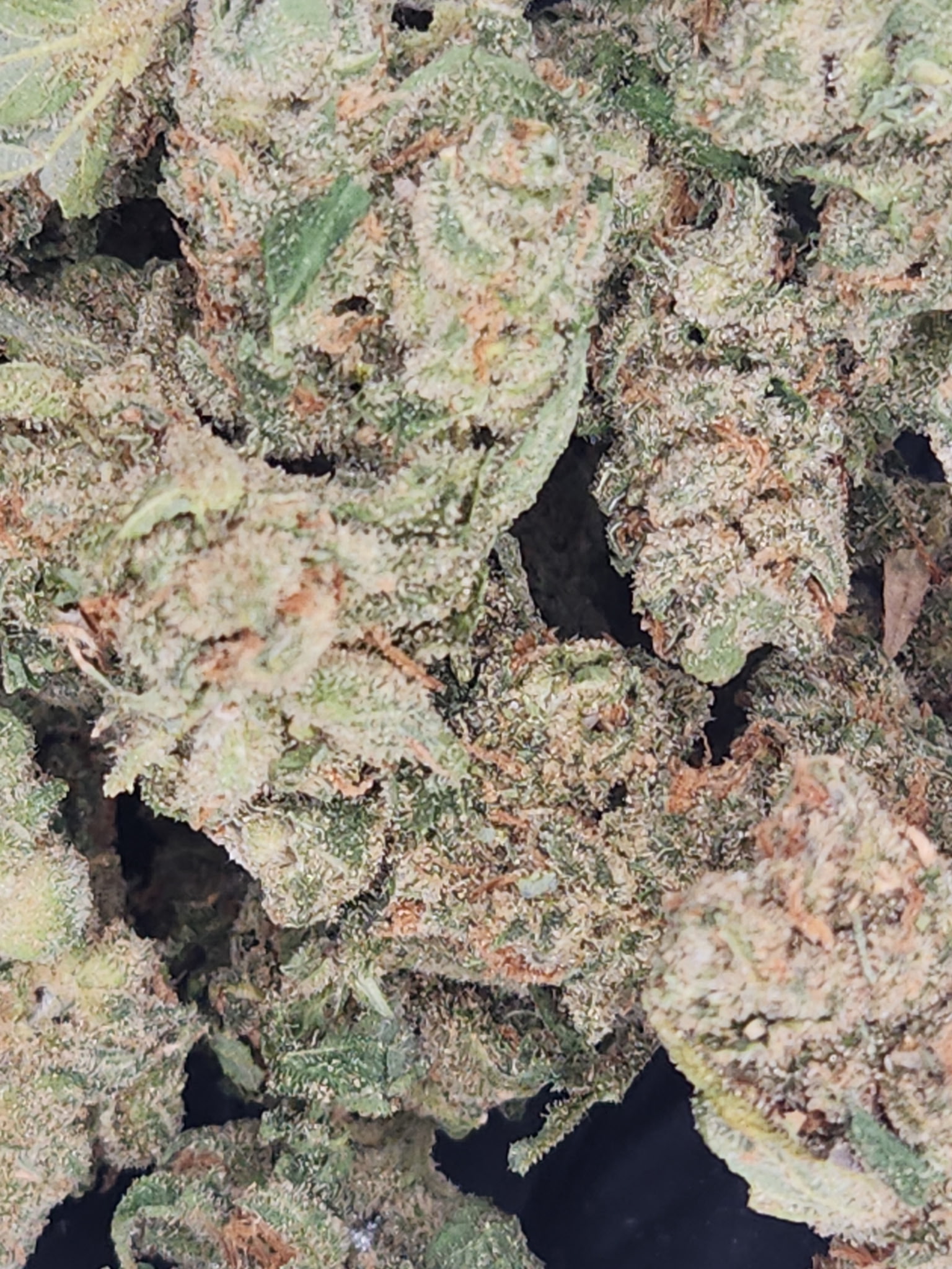Photograph of product: Fresh Canna | Bulk Bud - Super Lemon Haze - 28g