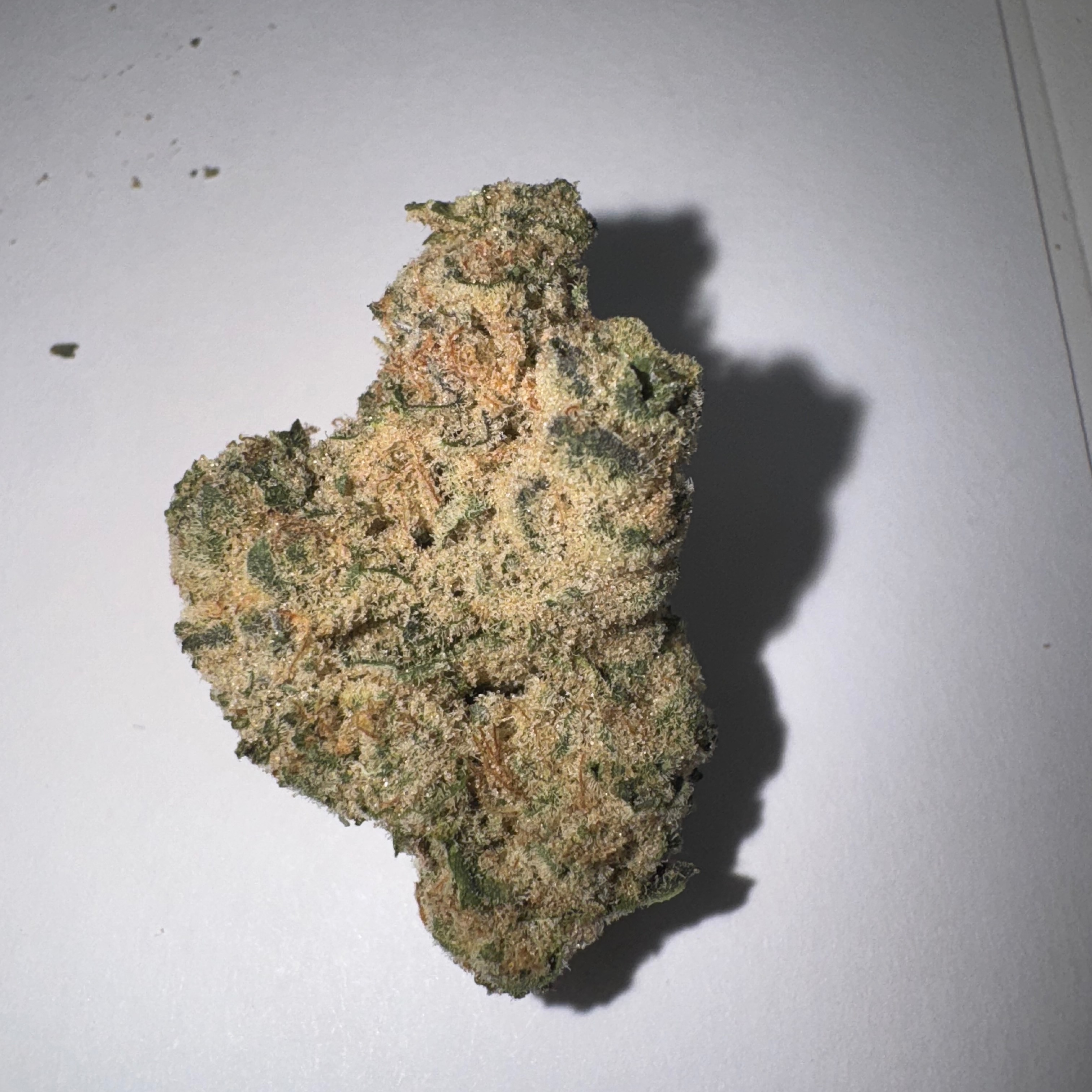Photograph of product: Banana Buttercup (Sun Land) 29% H 8550