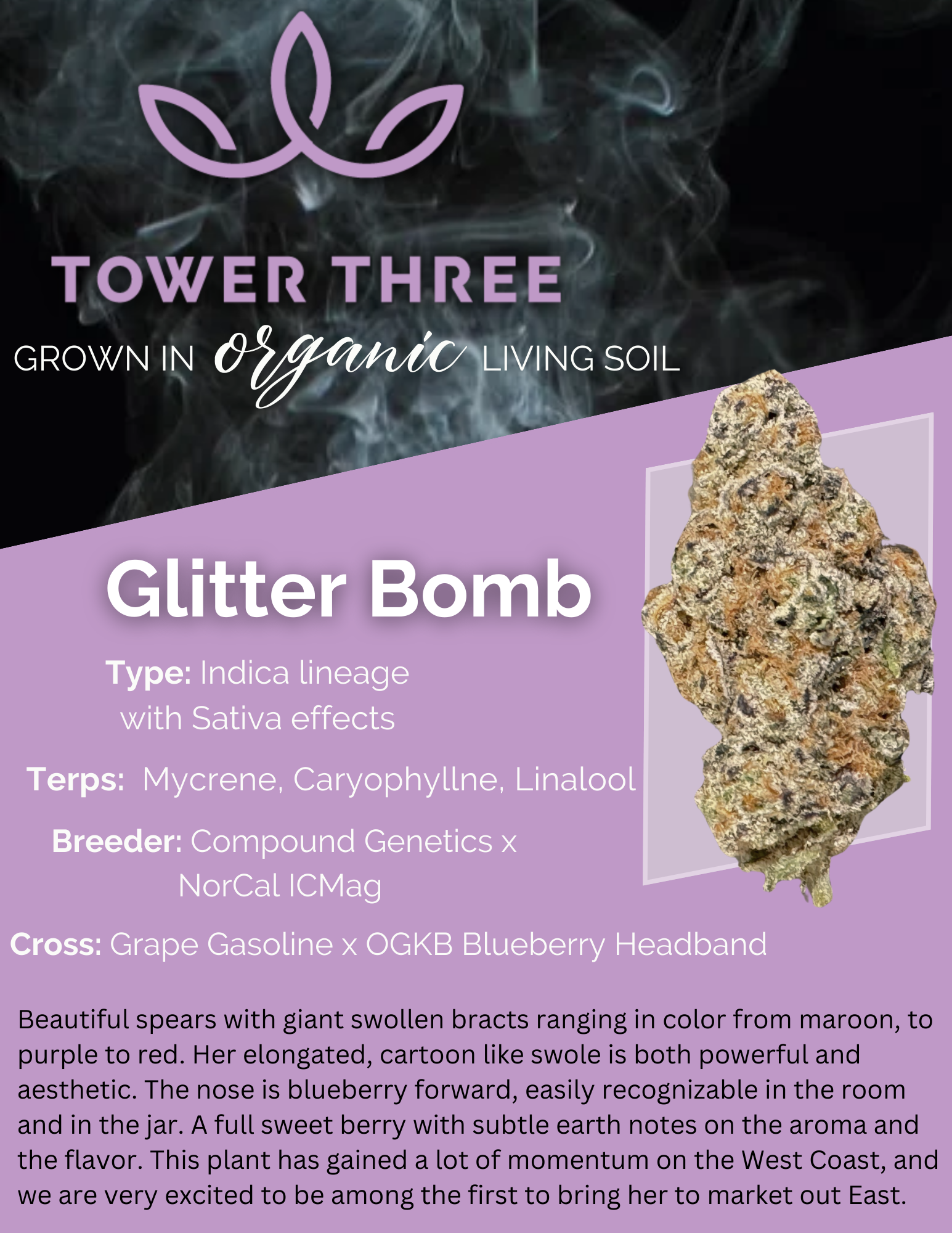 Photograph of product: Glitter Bomb | 1g | au chocolat Infused Pre-Roll | Tower Three