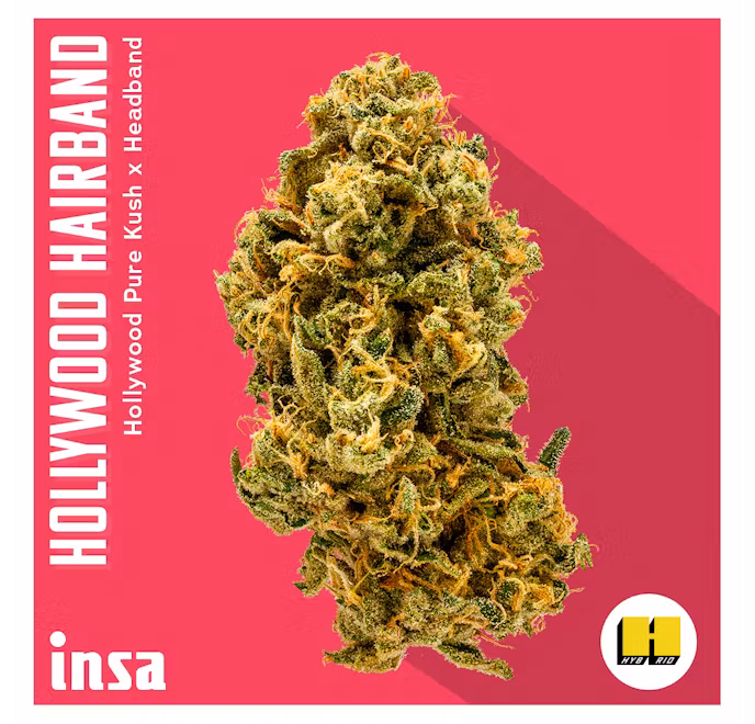 Photograph of product: INSA Hollywood Hairband | 3.5g