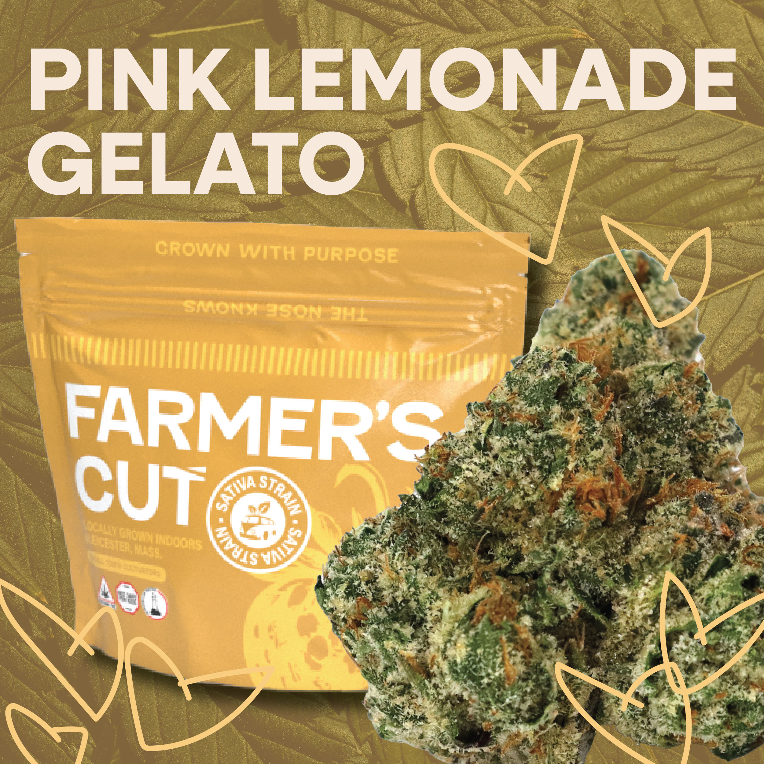 Photograph of product: Pink Lemonade Gelato | Flower | 28g