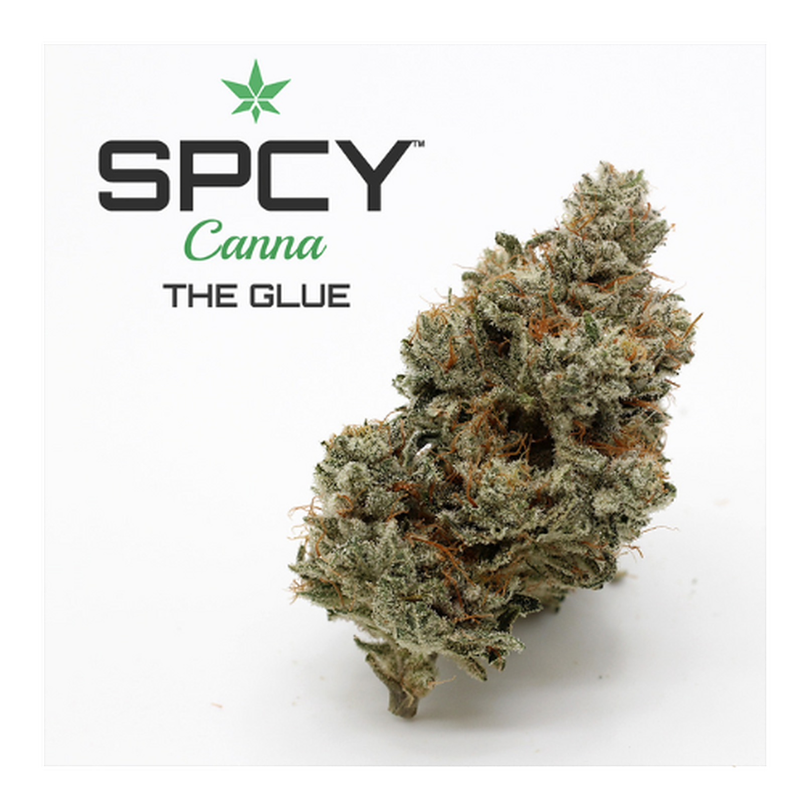 Photograph of product: SPCY Canna Flower- The Glue