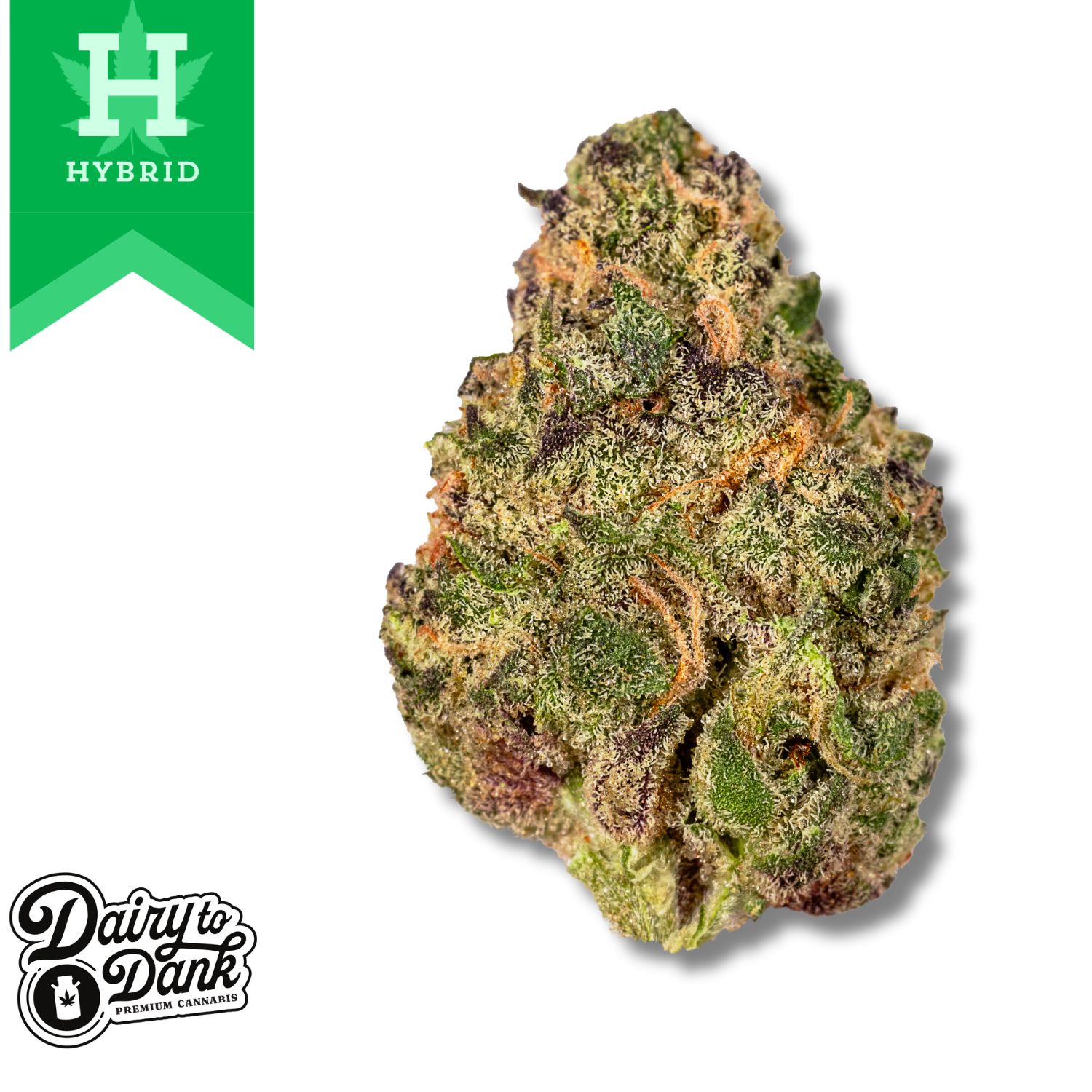 Photograph of product: D2D | Flower | Pre-Pack 3.5g | 1pk | Gush Mints (HYB) | Bigs