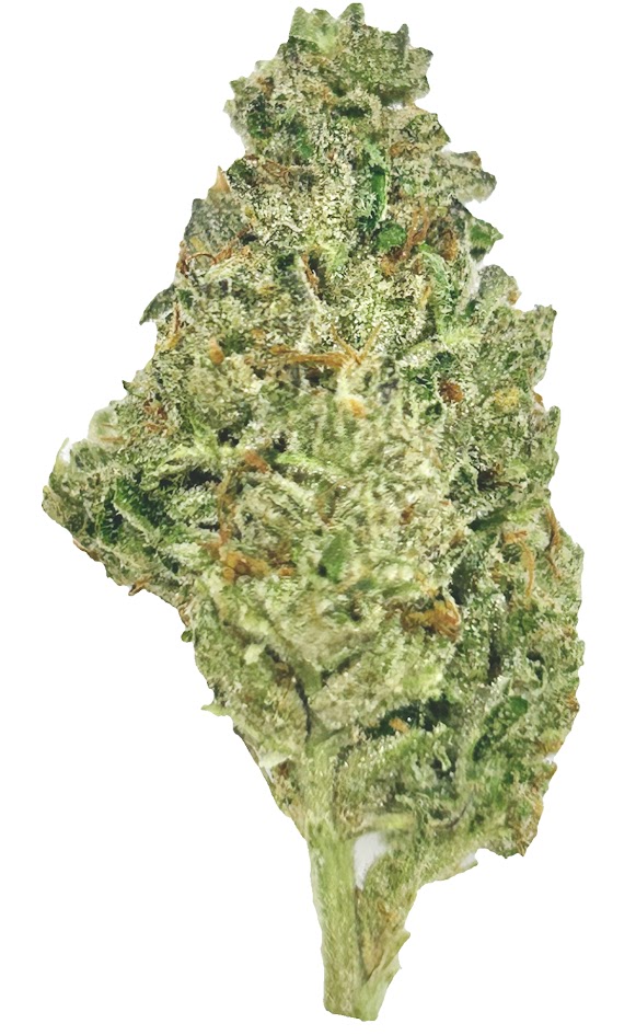Photograph of product: Mule Fuel - 28g