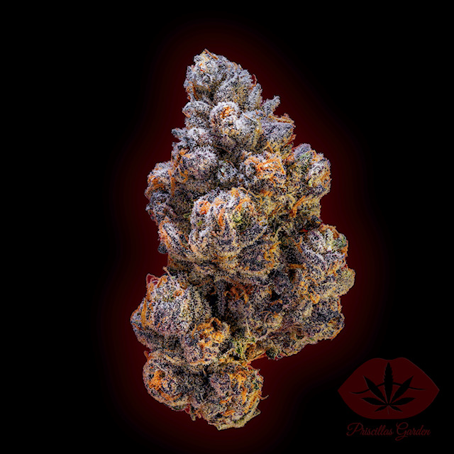 Photograph of product: Priscilla's Garden | Bubblegum Runtz | 3.5g