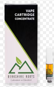 Photograph of product: Grand Daddy Purple | 1g 510