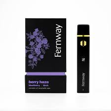 Photograph of product: Fernway - Berry Haze - 2g - Disposable Vape