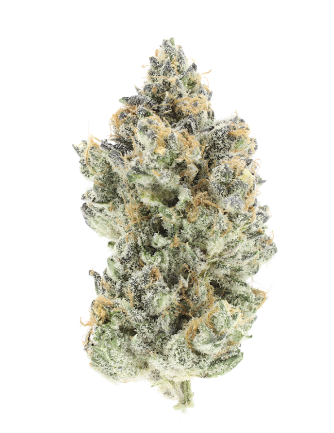Photograph of product: UpNorth Lemon Thai 3.5g