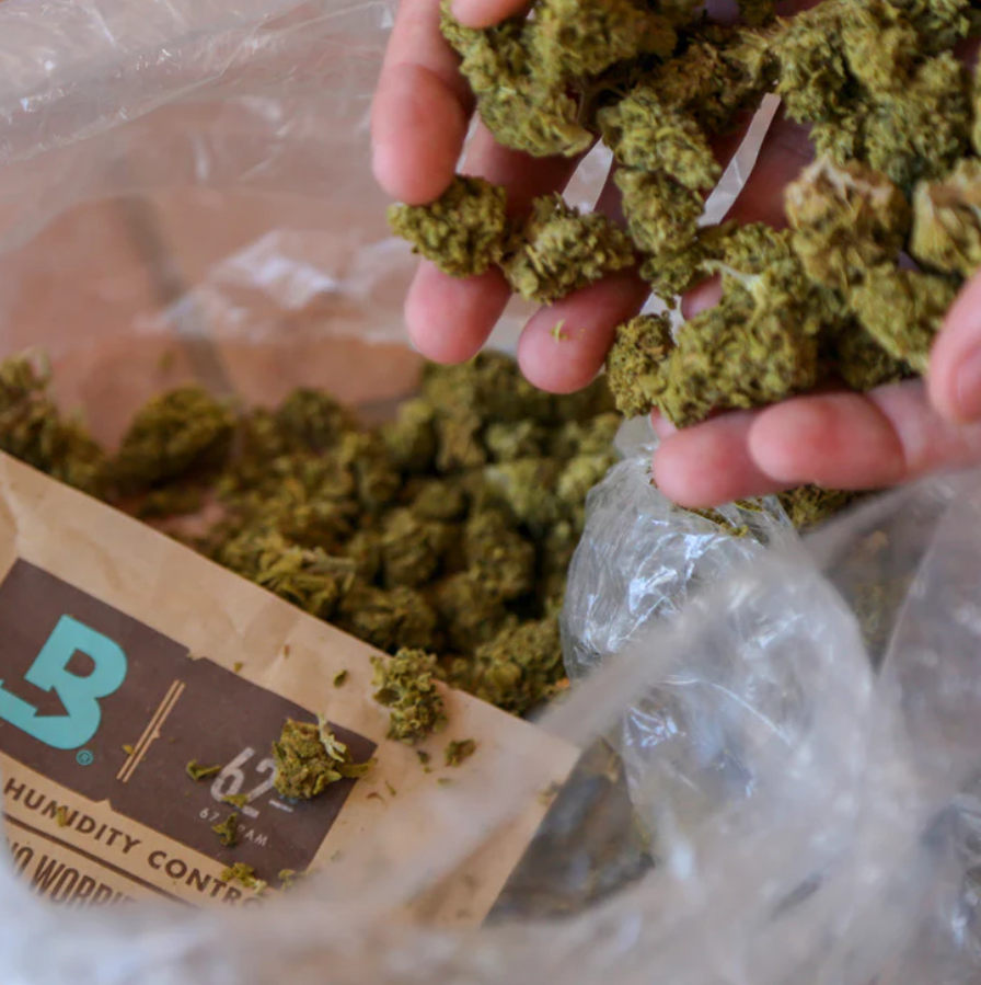 Photograph of product: Boveda 67 | The Original Terpene Shield | Humidity Pack