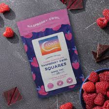 Photograph of product: Dark Chocolate | Raspberry Swirl Square | 10 Pack | 50mg