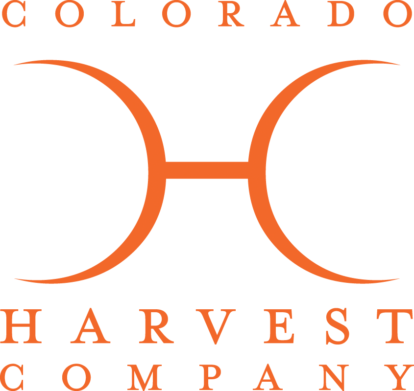 Photograph of product: Bass Bait | 1G | Live Sugar