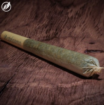 Photograph of product: Savvy Pure Michigan 1g Pre-Roll H 25699 (1pk)