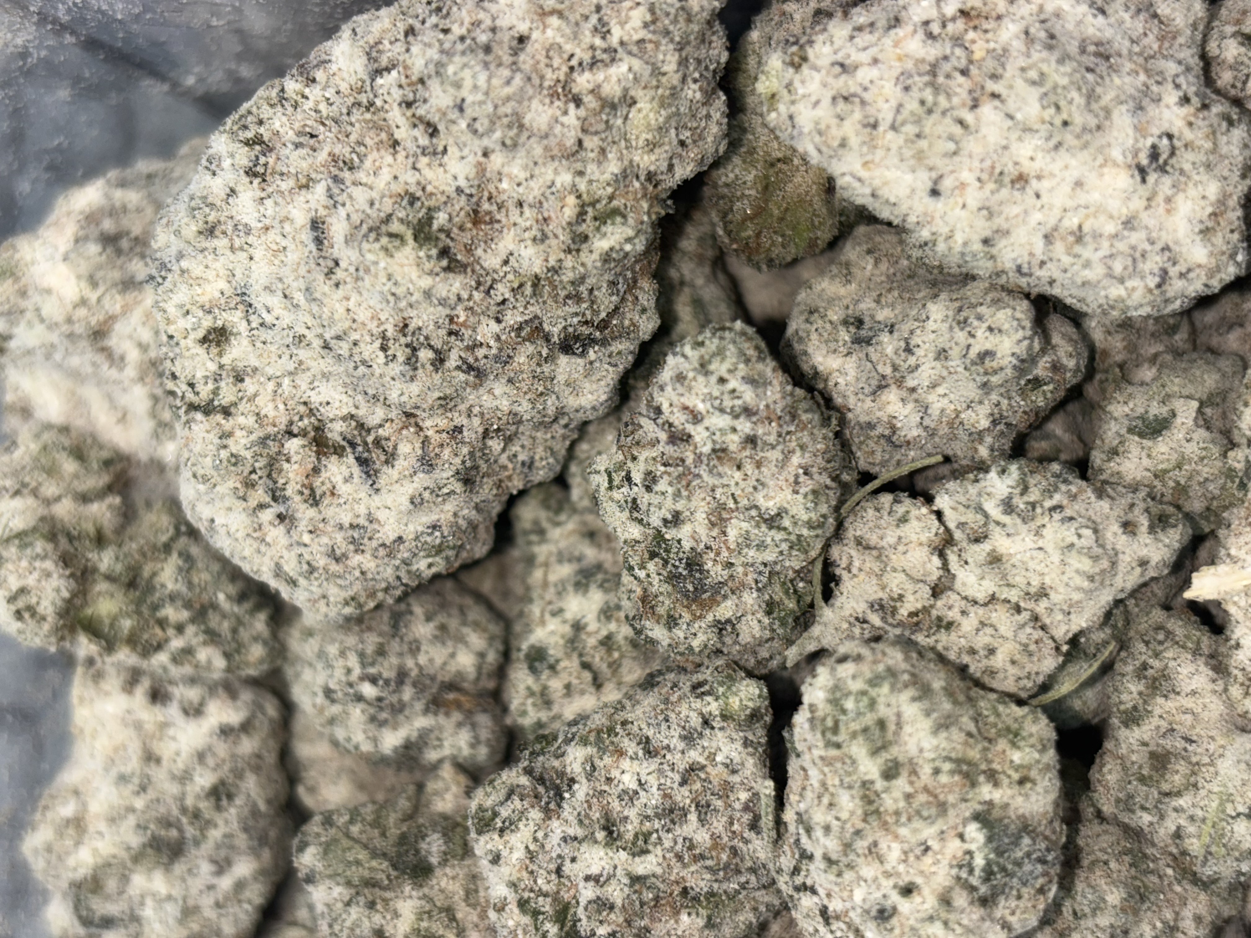 Photograph of product: Madhaus Snow Caps | Crumb Cake - Hybrid - 14g