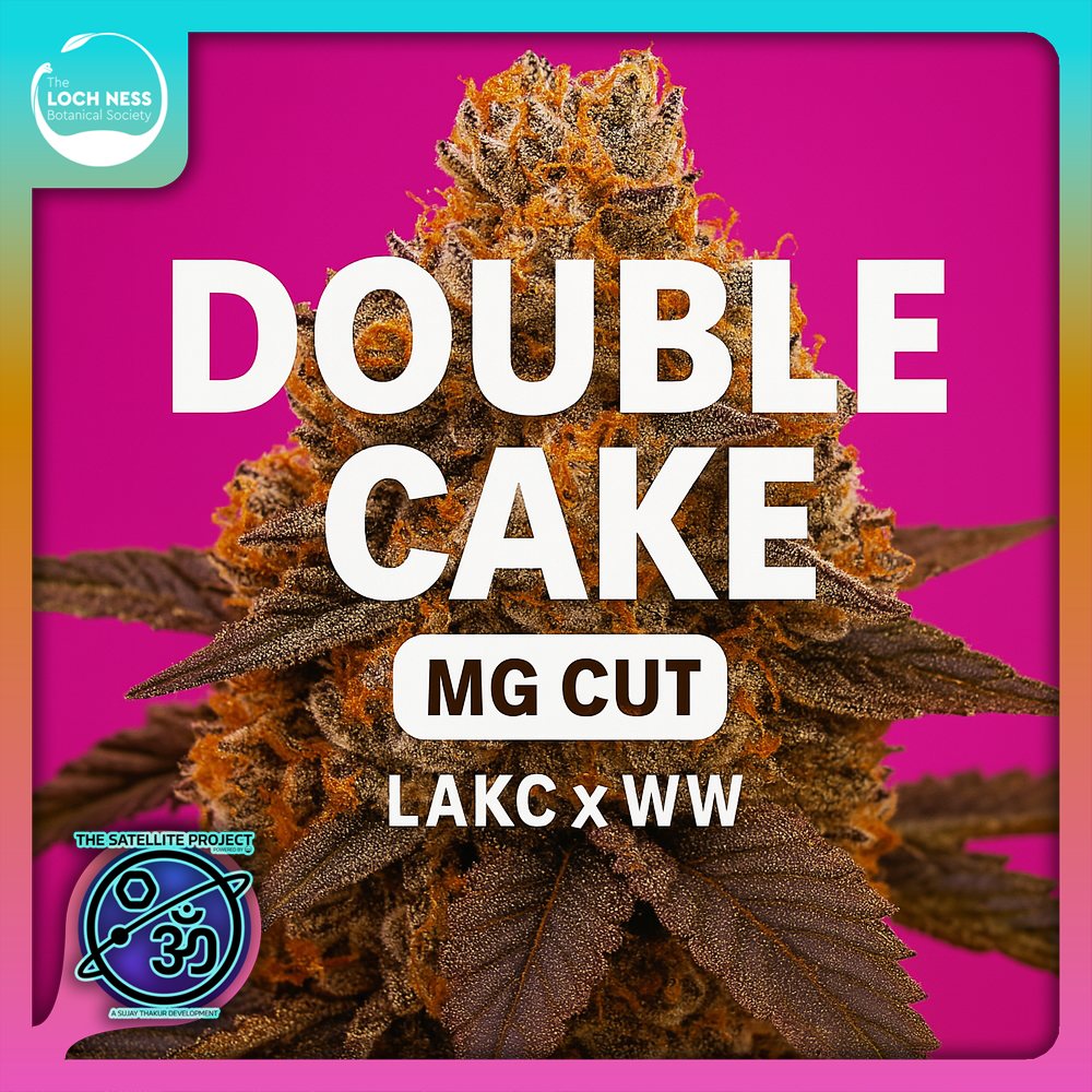 Photograph of product: Double Cake MG Cut | Flower - 1g