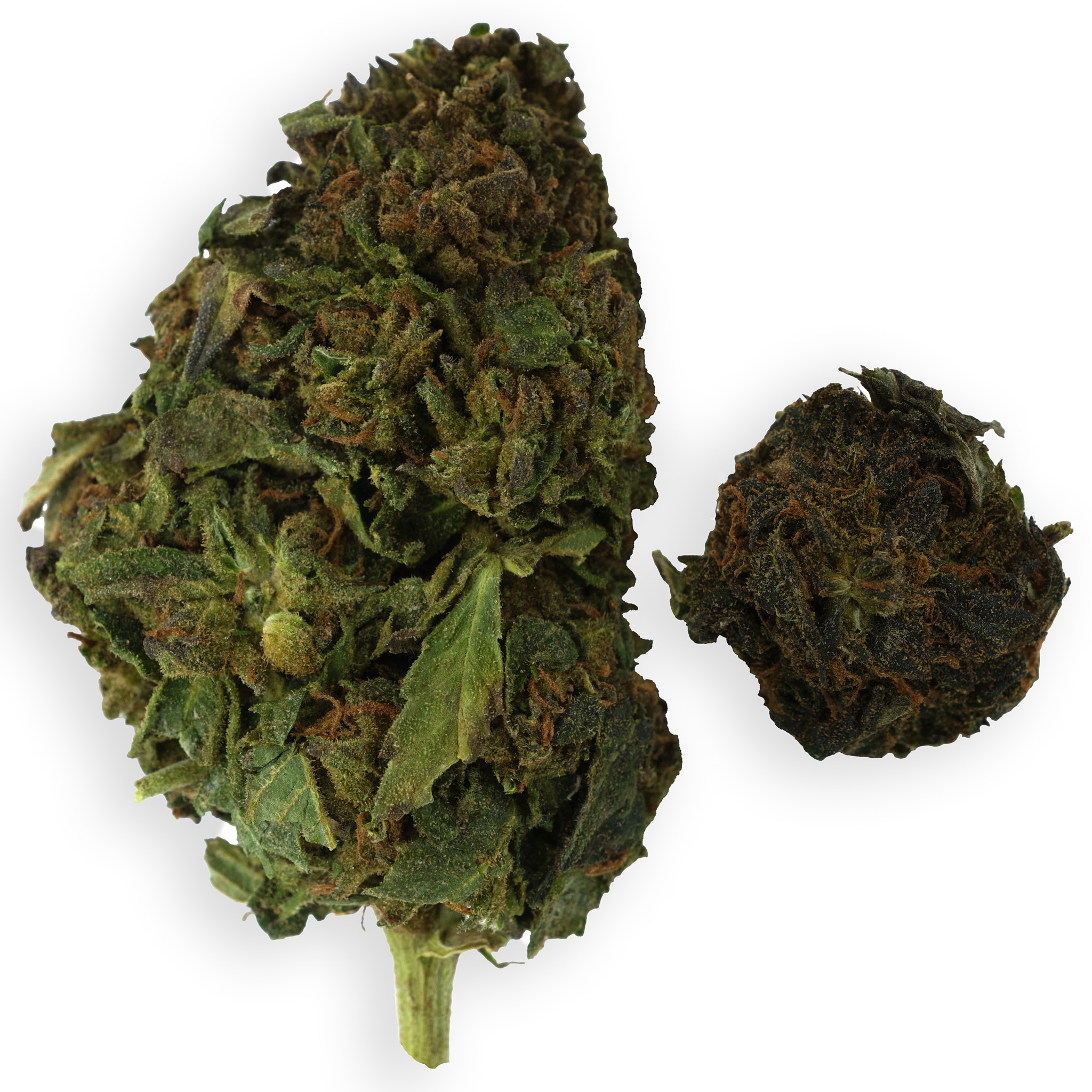 Photograph of product: Apple Fritter Outdoor - 28g