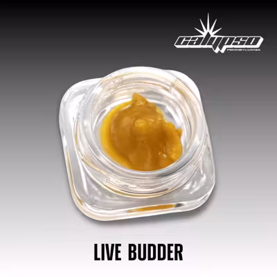 Photograph of product: Grape Rntz | Live Budder | 2g