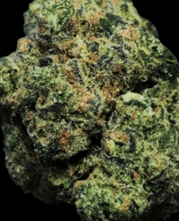 Photograph of product: FlowerHouse Premium Flower | 3.5g | Bosscotti