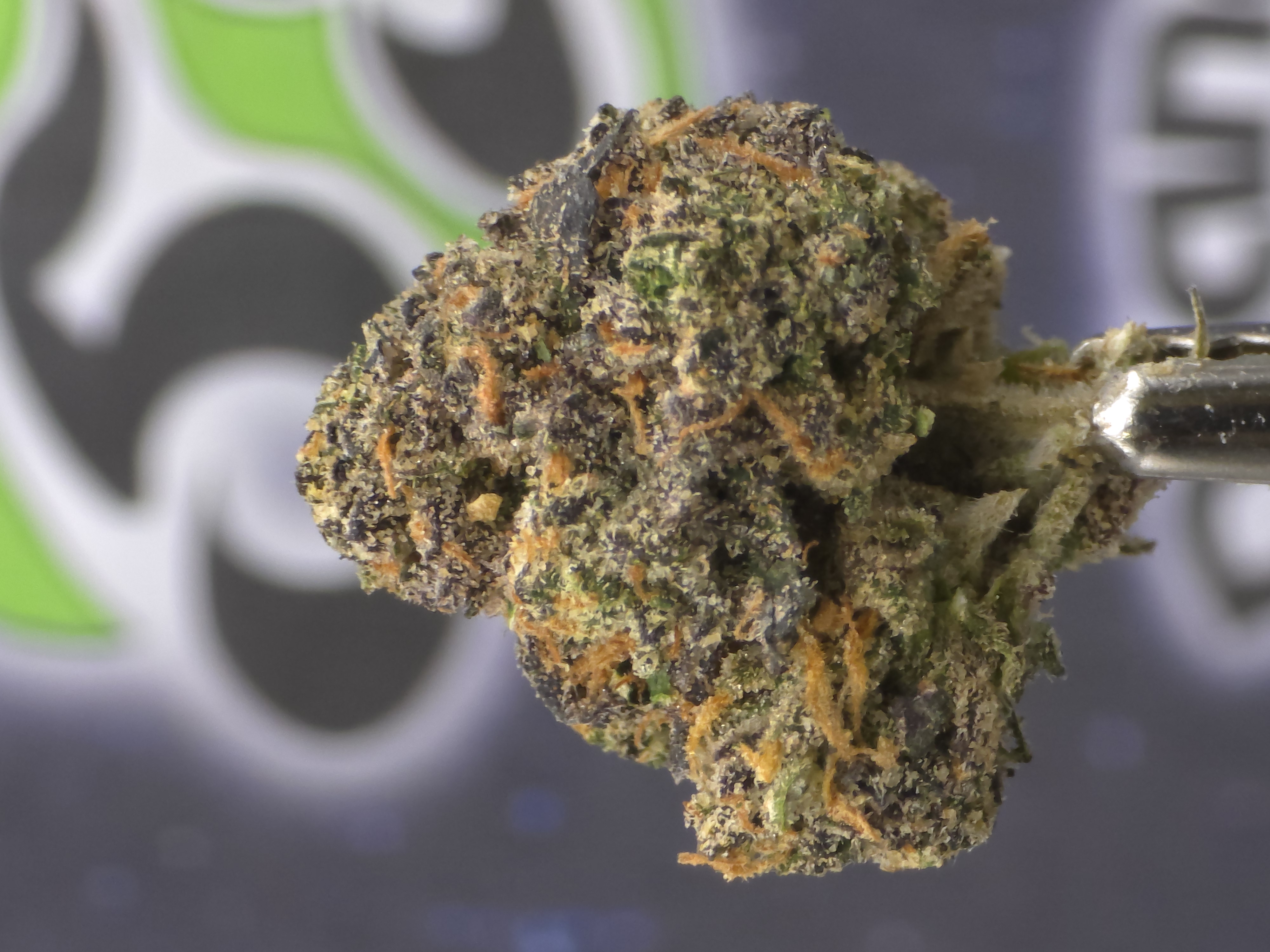 Photograph of product: Harbor Farmz | Deathstar Prepacked - 3.5g