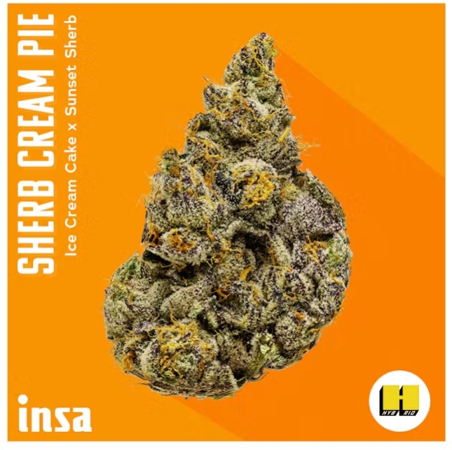 Photograph of product: Sherb Cream Pie 28g Flower INSA