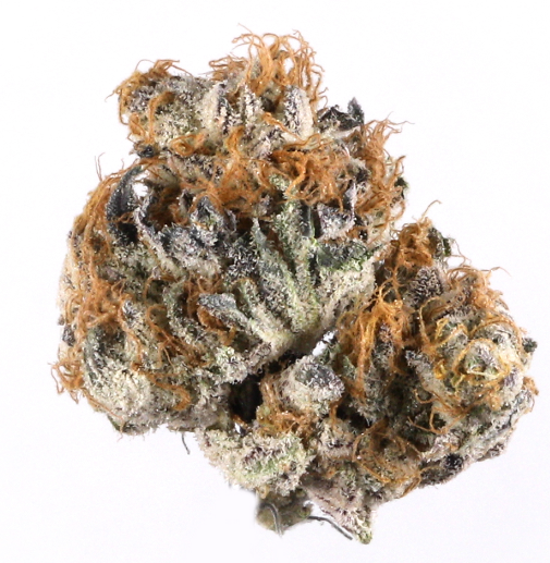 Photograph of product: Flower | Blueberry Biscuit | Objectiv - 28g