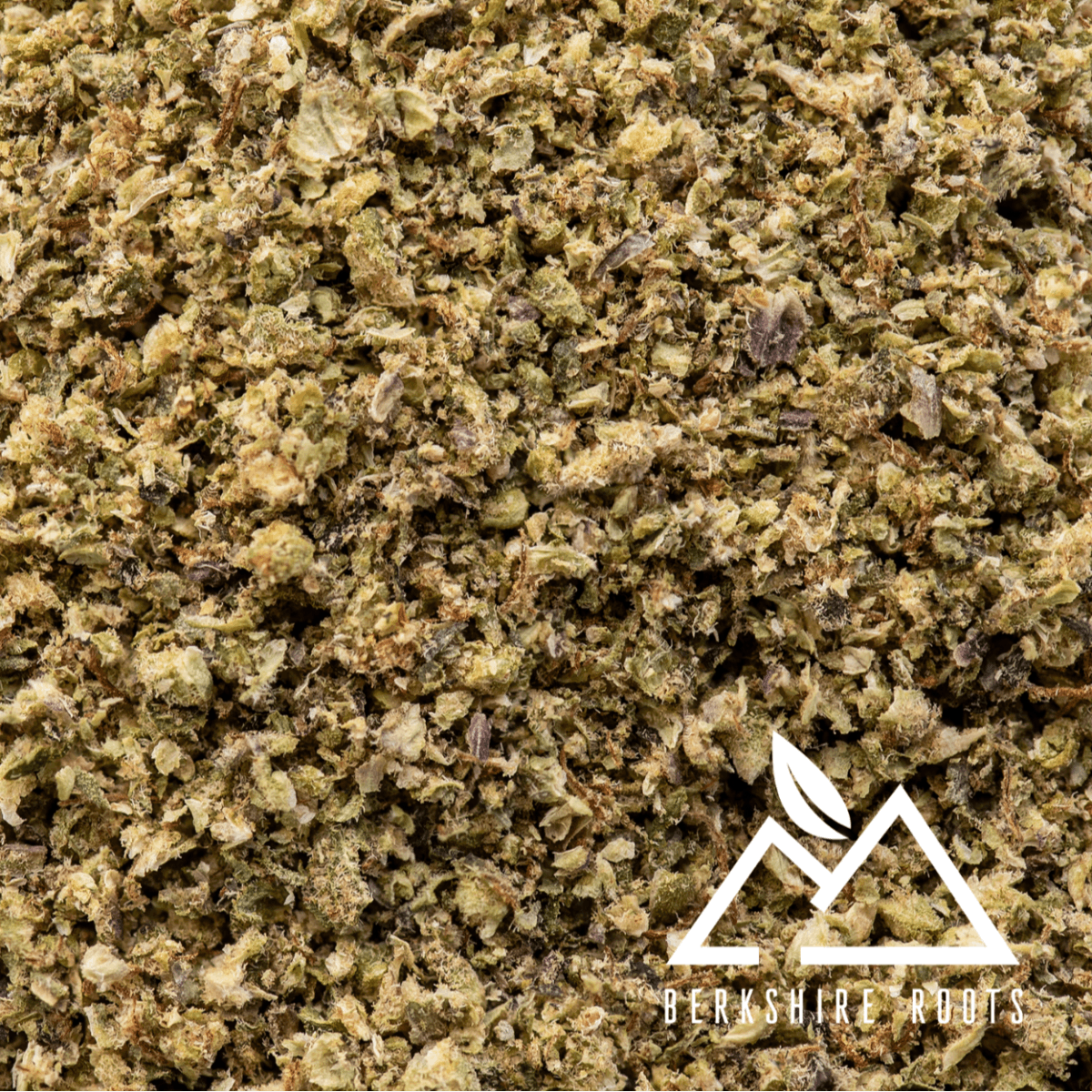 Photograph of product: Gorilla Noir (H) 14g Pre-Ground Flw- Berkshire Roots