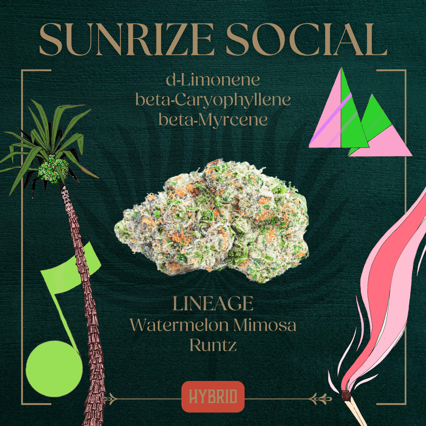 Photograph of product: Sunrize Social Flower | 3.5g