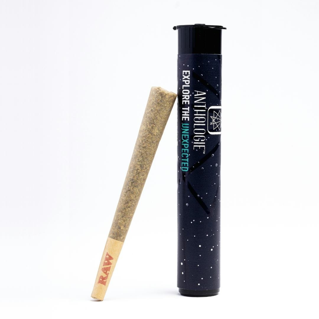 Photograph of product: Anthologie - White Widow - Pre- Roll - 1g