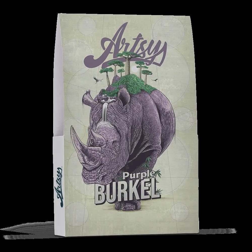 Photograph of product: Artsy | Pre-pack | Purple Burkel - 3.5g