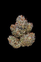 Photograph of product: Virtue | Figuroa OG (H) - 3.5g