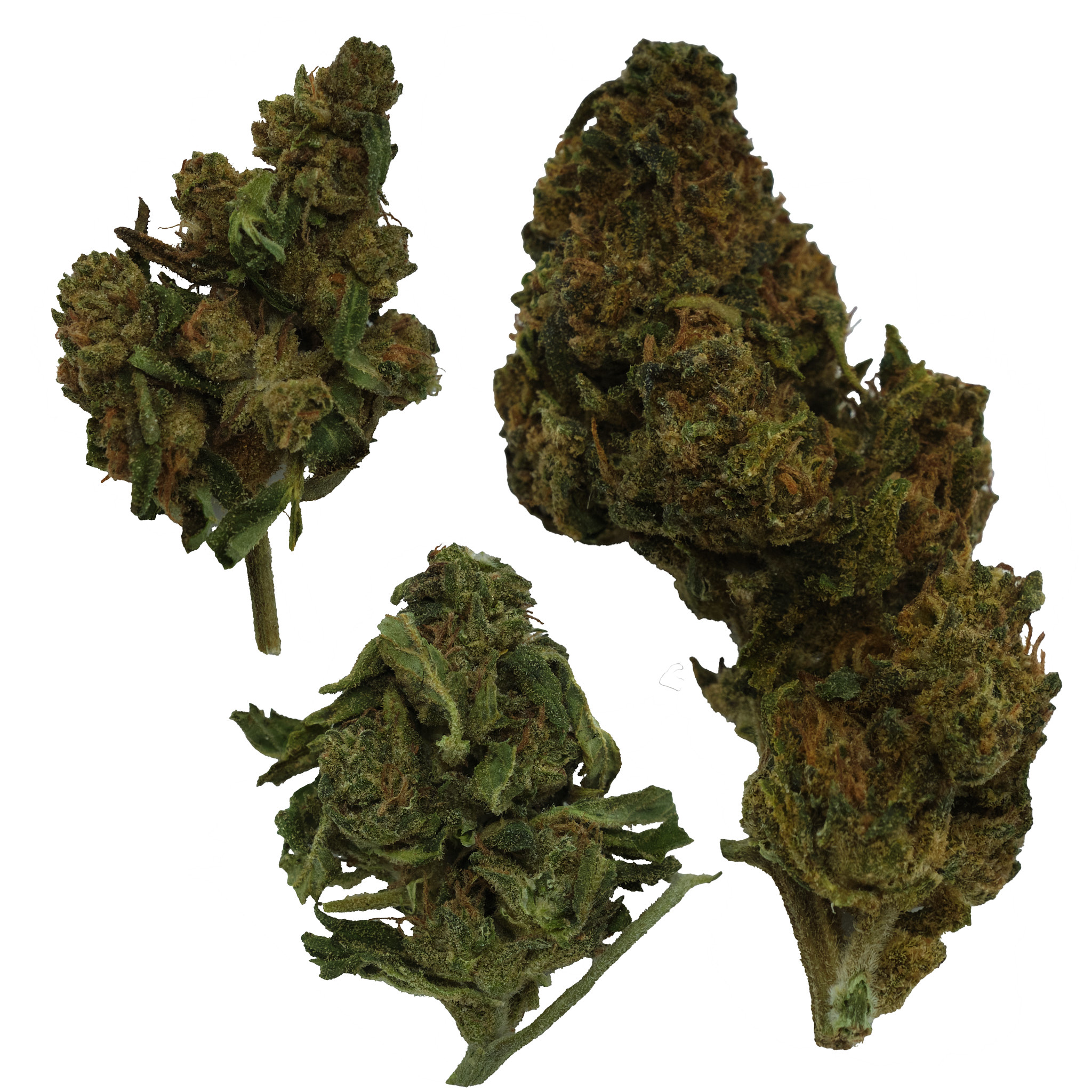 Photograph of product: Bumper OG Outdoor - 14g