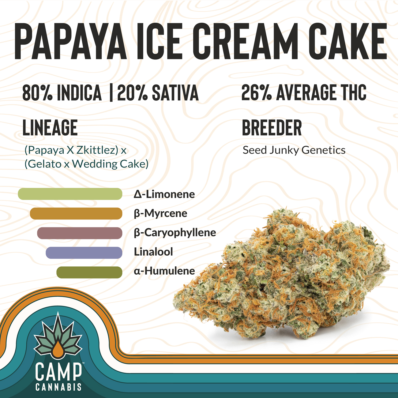 Photograph of product: Papaya Ice Cream Cake  | 3.5g | Camp