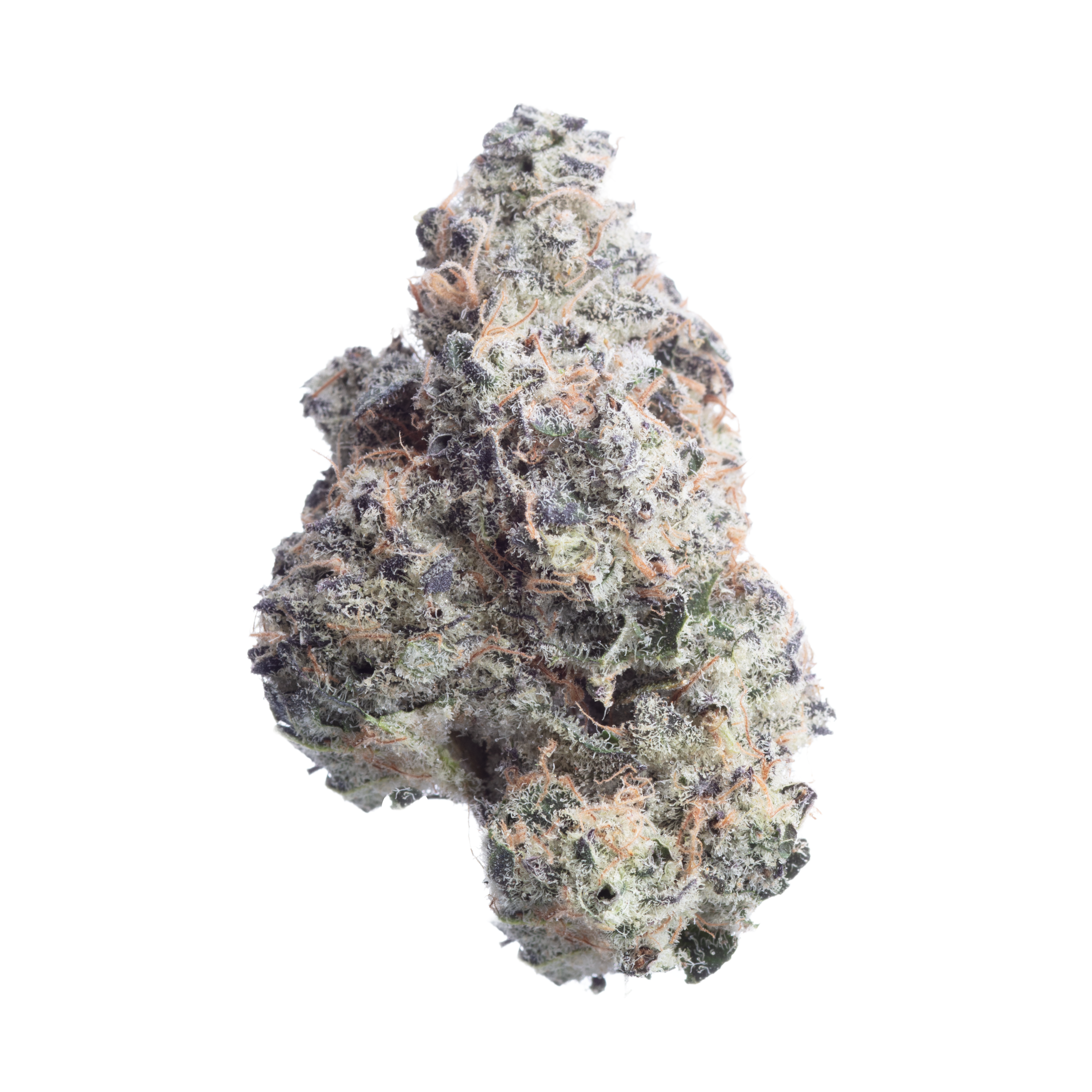 Photograph of product: Blueberry Sugar | Maine Trees - 3.5g