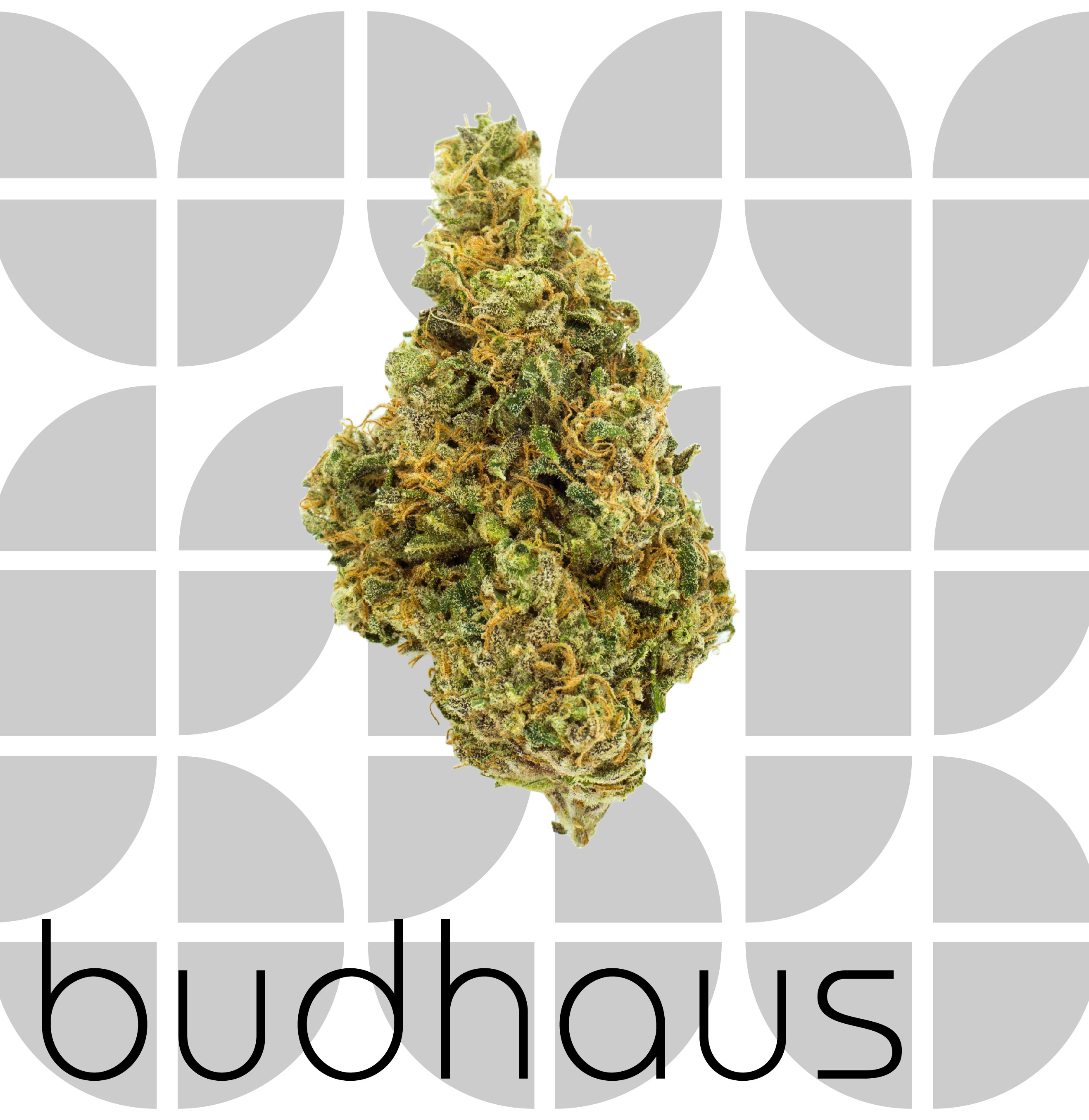 Photograph of product: Bluenana - Bud - 1g