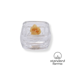 Photograph of product: Waffles (I) - Live au chocolat Rosin (2g)