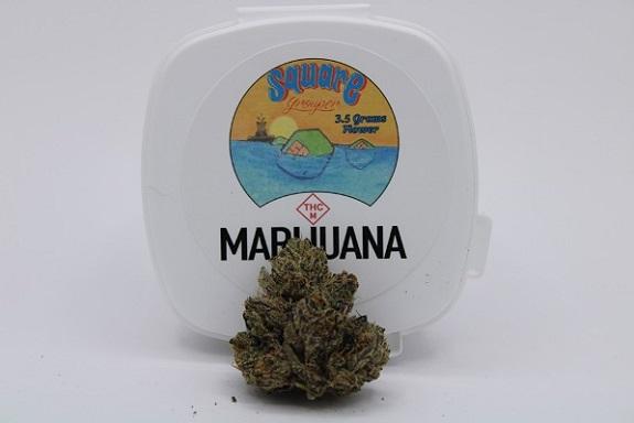 Photograph of product: Square Grouper | Super Glue - 3.5g