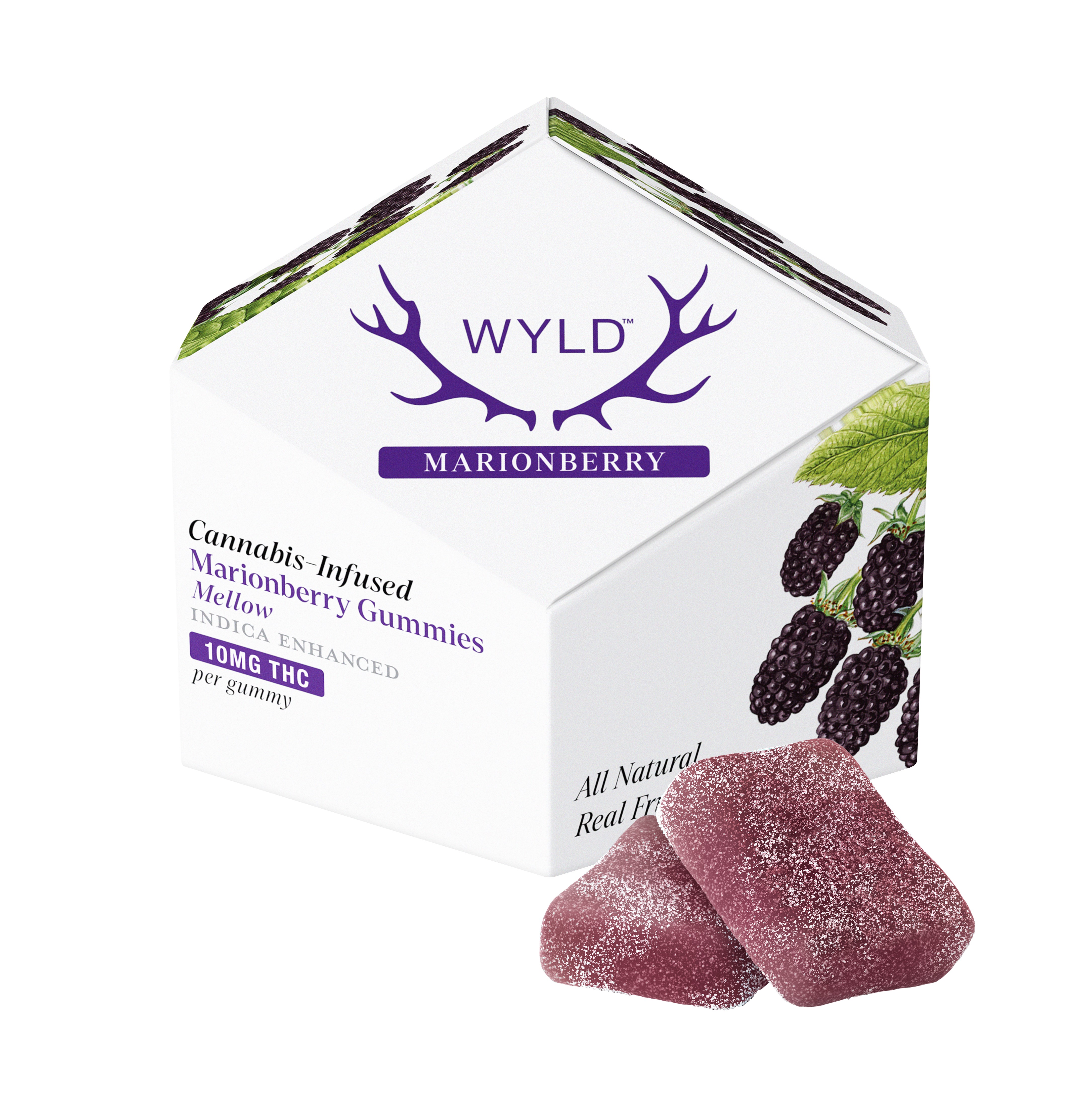 Photograph of product: Marionberry | Relaxing | 10pk