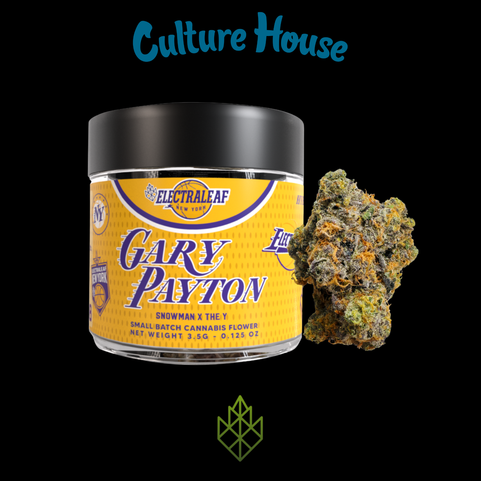 Photograph of product: Electraleaf | Gary Payton - 3.5g