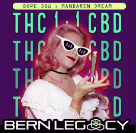 Photograph of product: Bern Legacy Dope Dog x Mandarin Dream 1:1 TH-oui:CBD Pre-Roll