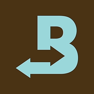 Photograph of product: Boveda 2-Way Humidity Control 4g